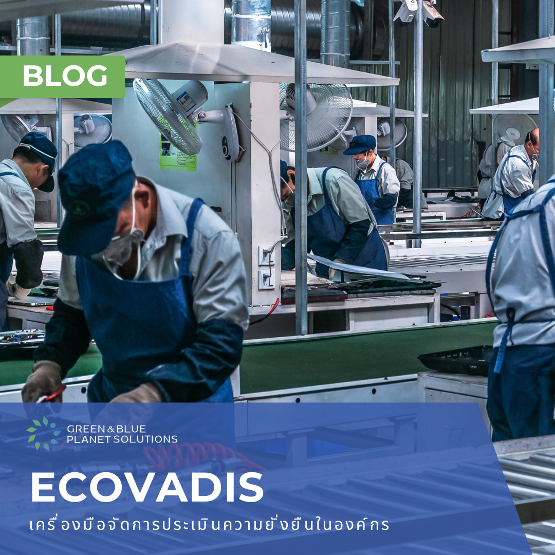 EcoVadis คืออะไร?5