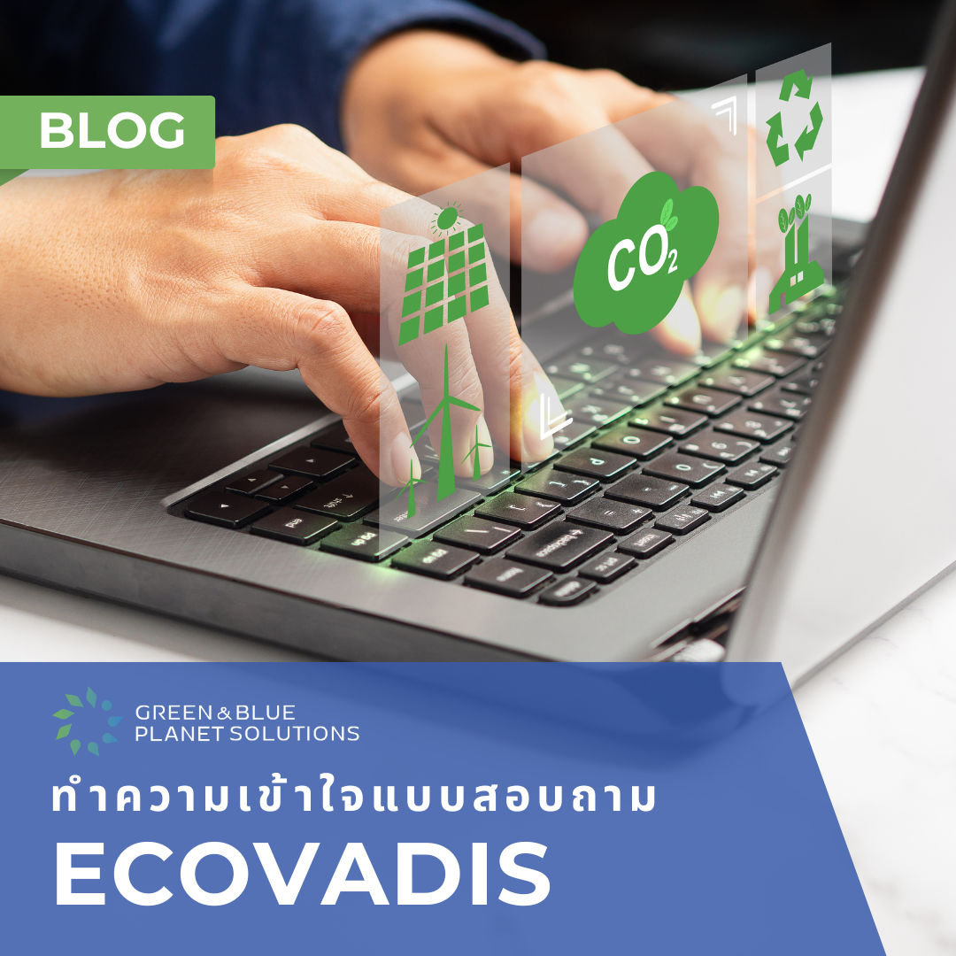 ทำความเข้าใจแบบสอบถามของ EcoVadis