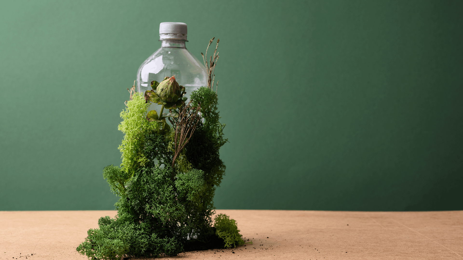 International Sustainability & Carbon Certification (ISCC)