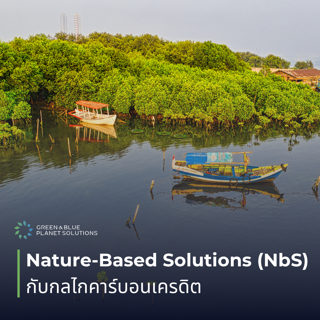 Nature-Based Solutions กับกลไกคาร์บอนเครดิต